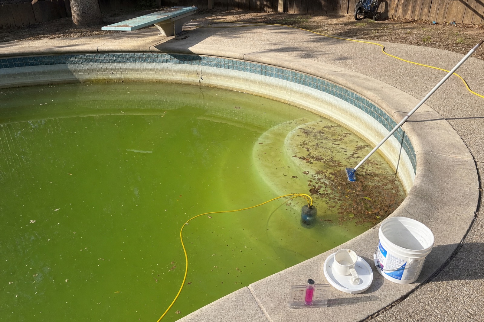 Green algae-filled pool with test kit and chemical bucket on the deck mid-rescue